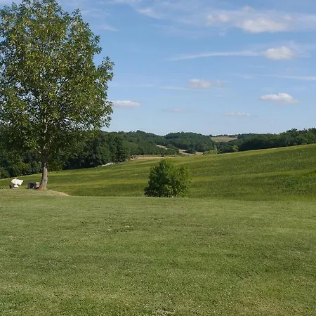 Oda ve Kahvaltı Bel-endroit